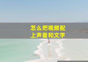 怎么把视频配上声音和文字