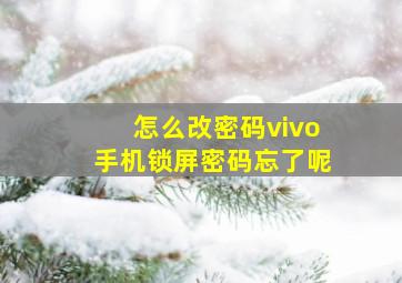 怎么改密码vivo手机锁屏密码忘了呢