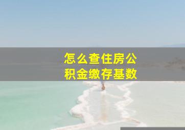 怎么查住房公积金缴存基数