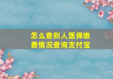 怎么查别人医保缴费情况查询支付宝