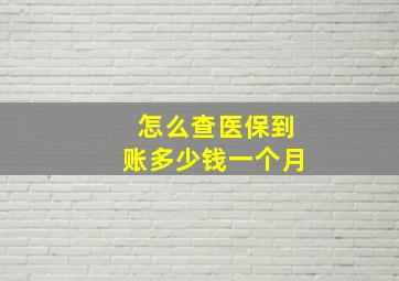 怎么查医保到账多少钱一个月