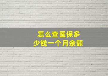 怎么查医保多少钱一个月余额