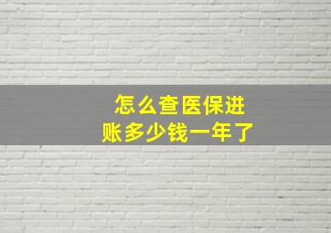 怎么查医保进账多少钱一年了