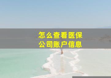 怎么查看医保公司账户信息