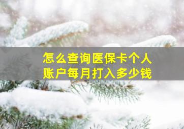 怎么查询医保卡个人账户每月打入多少钱