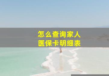 怎么查询家人医保卡明细表