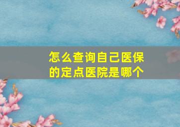 怎么查询自己医保的定点医院是哪个