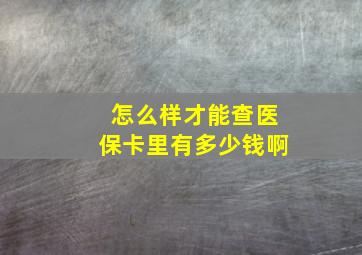 怎么样才能查医保卡里有多少钱啊