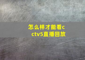 怎么样才能看cctv5直播回放