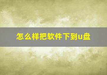 怎么样把软件下到u盘