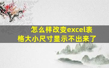 怎么样改变excel表格大小尺寸显示不出来了