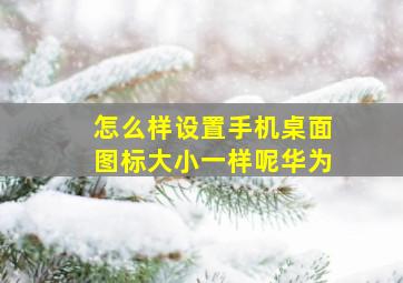 怎么样设置手机桌面图标大小一样呢华为