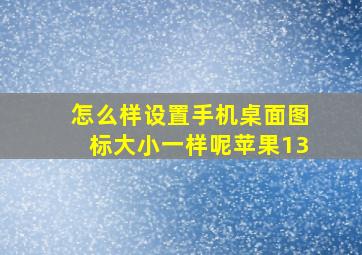 怎么样设置手机桌面图标大小一样呢苹果13