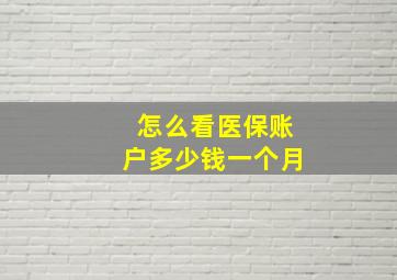 怎么看医保账户多少钱一个月