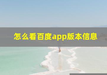 怎么看百度app版本信息