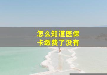 怎么知道医保卡缴费了没有