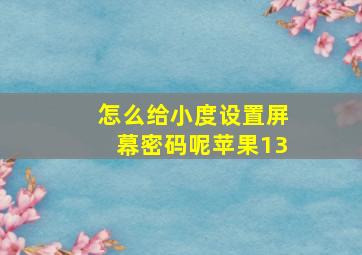 怎么给小度设置屏幕密码呢苹果13