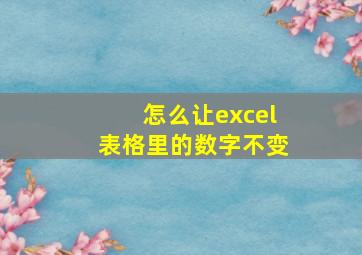 怎么让excel表格里的数字不变