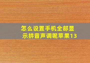 怎么设置手机全部显示拼音声调呢苹果13