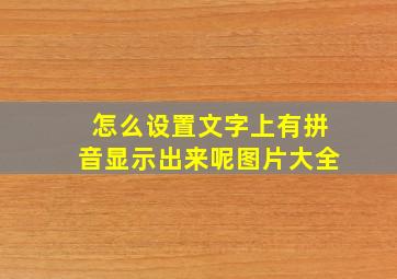 怎么设置文字上有拼音显示出来呢图片大全