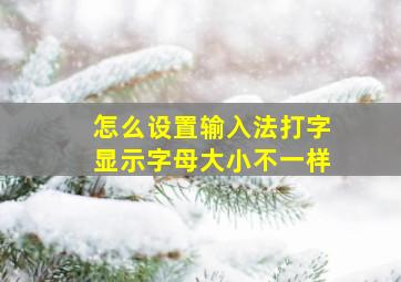 怎么设置输入法打字显示字母大小不一样