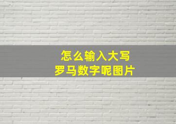 怎么输入大写罗马数字呢图片