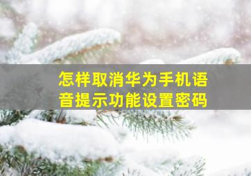 怎样取消华为手机语音提示功能设置密码