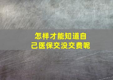 怎样才能知道自己医保交没交费呢