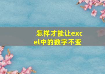 怎样才能让excel中的数字不变