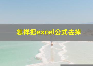 怎样把excel公式去掉