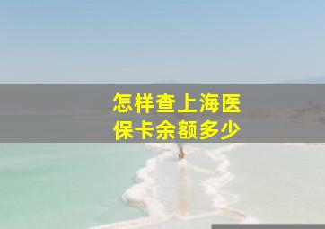 怎样查上海医保卡余额多少