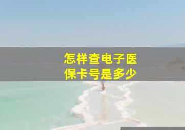 怎样查电子医保卡号是多少