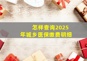 怎样查询2025年城乡医保缴费明细