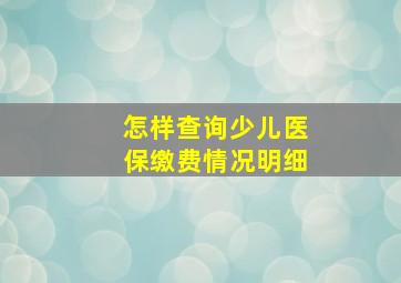 怎样查询少儿医保缴费情况明细