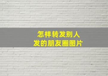 怎样转发别人发的朋友圈图片