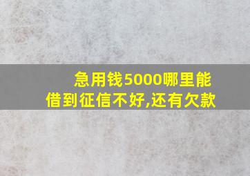 急用钱5000哪里能借到征信不好,还有欠款