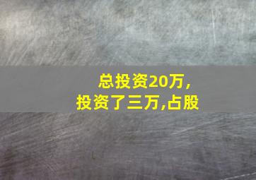 总投资20万,投资了三万,占股