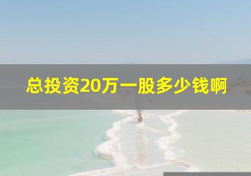 总投资20万一股多少钱啊