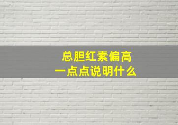 总胆红素偏高一点点说明什么