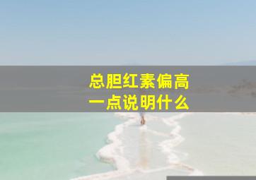 总胆红素偏高一点说明什么