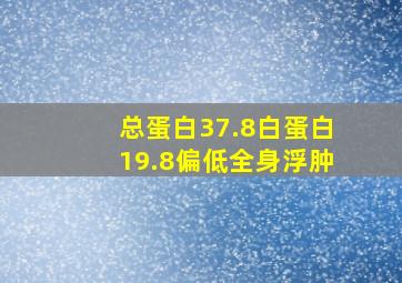 总蛋白37.8白蛋白19.8偏低全身浮肿