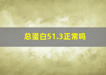 总蛋白51.3正常吗