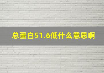 总蛋白51.6低什么意思啊