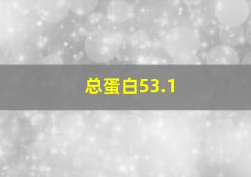 总蛋白53.1