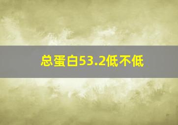 总蛋白53.2低不低