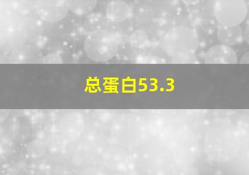 总蛋白53.3