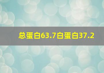 总蛋白63.7白蛋白37.2