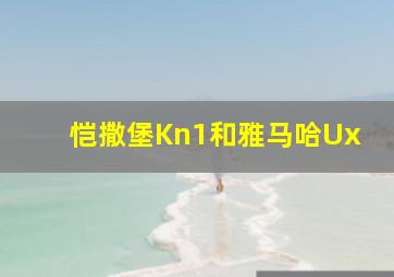 恺撒堡Kn1和雅马哈Ux