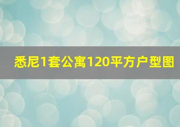 悉尼1套公寓120平方户型图