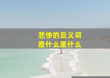 悲惨的反义词是什么是什么